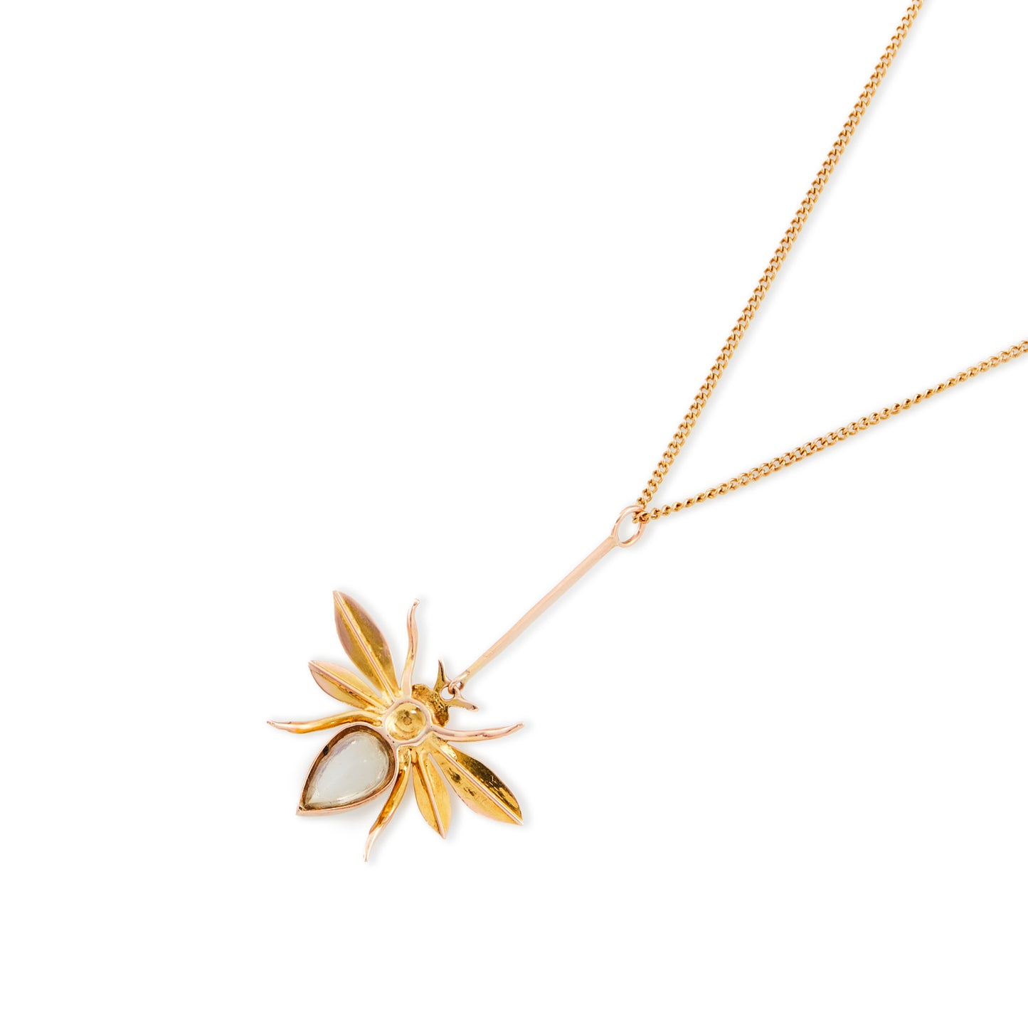 Delightful Edwardian 9ct gold insect pendant with a moonstone body, a pearl head and ruby eyes, on a 9ct gold chain.
