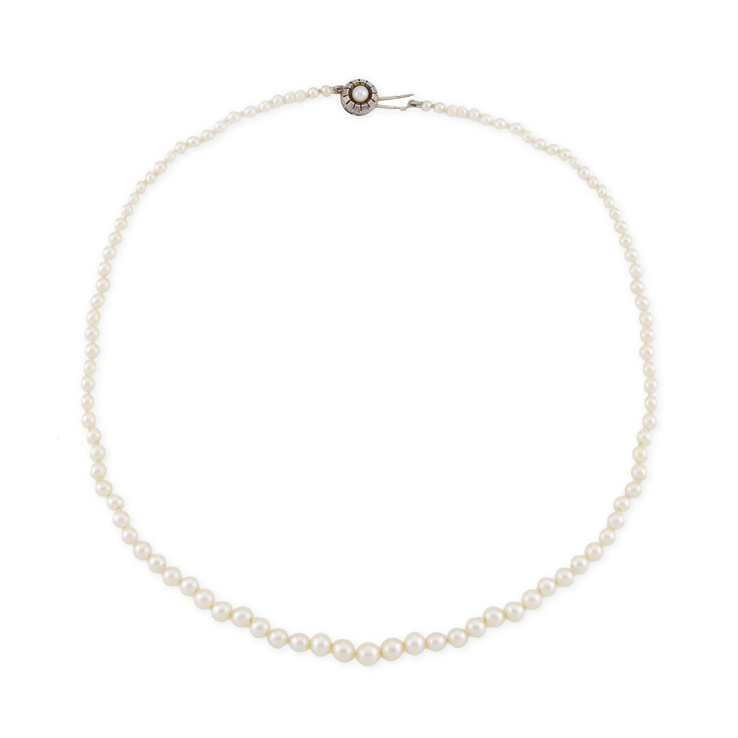 Graduated string of lustrous vintage cultured seawater pearls with sterling silver clasp set with a single pearl.