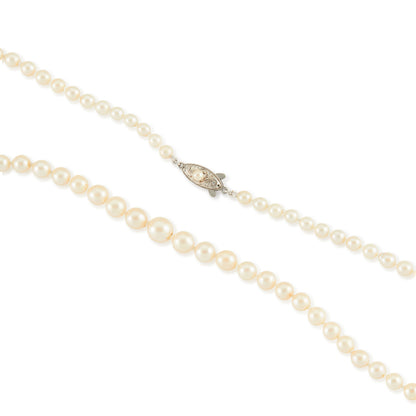 Lovely graduated seawater pearl necklace with a sterling silver and pearl clasp. The pearls have a creamy hue and a very good lustre.