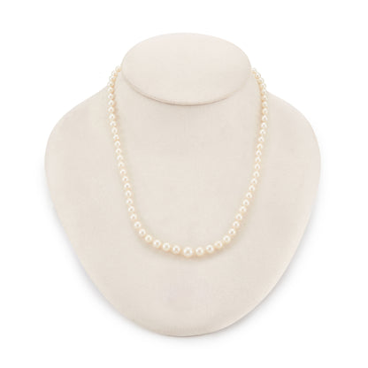 Lovely graduated seawater pearl necklace with a sterling silver and pearl clasp. The pearls have a creamy hue and a very good lustre.