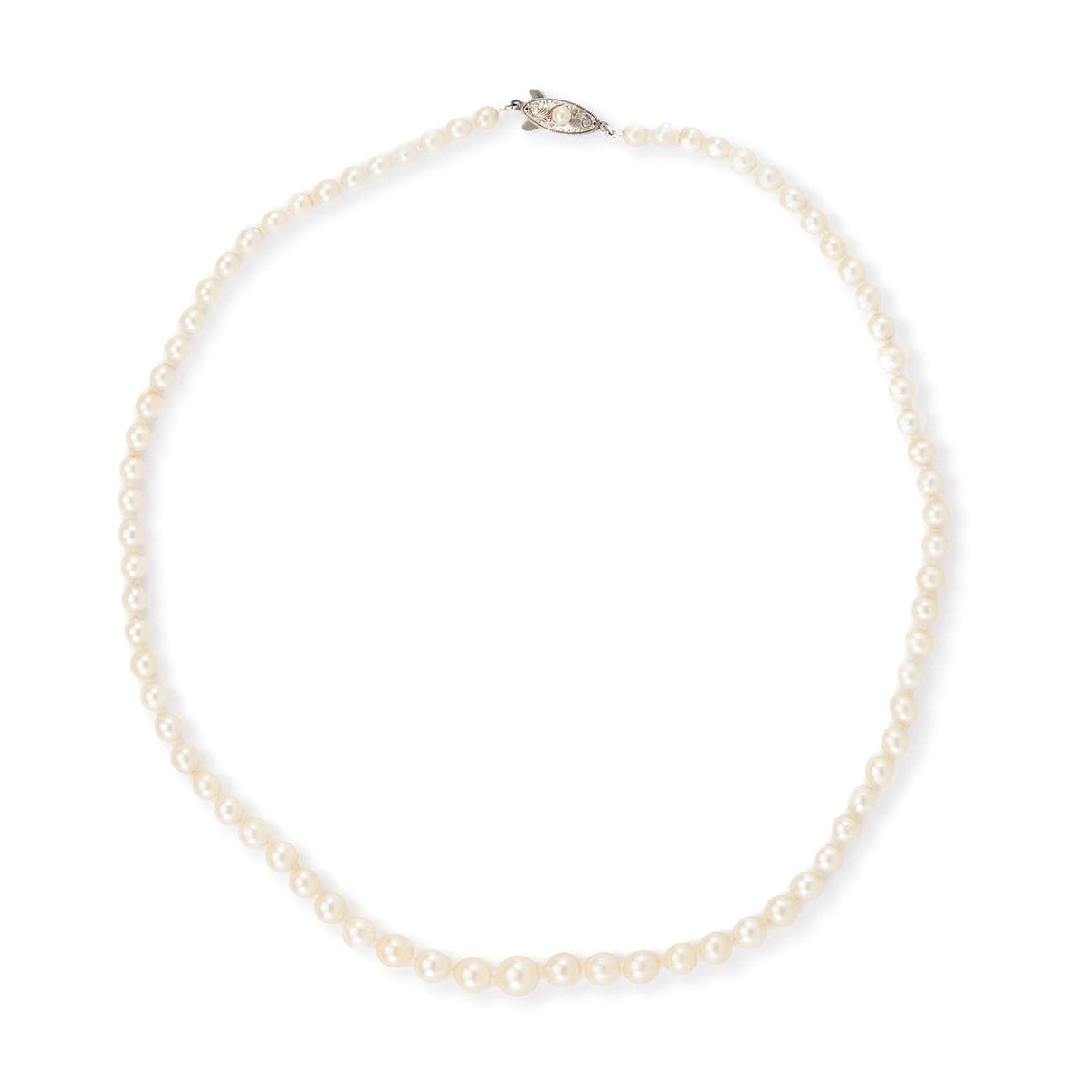 Lovely graduated seawater pearl necklace with a sterling silver and pearl clasp. The pearls have a creamy hue and a very good lustre.