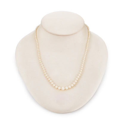 Graduated string of lustrous vintage cultured seawater pearls with sterling silver clasp set with a single pearl.