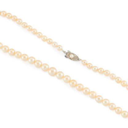 Classic vintage string of graduated seawater pearls with a sterling silver and pearl clasp. The pearls have a creamy hue and a good lustre.