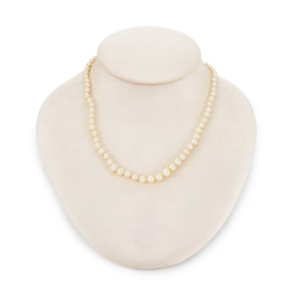 Lustrous graduated string of vintage cultured seawater pearls with a 14ct gold filigree clasp.