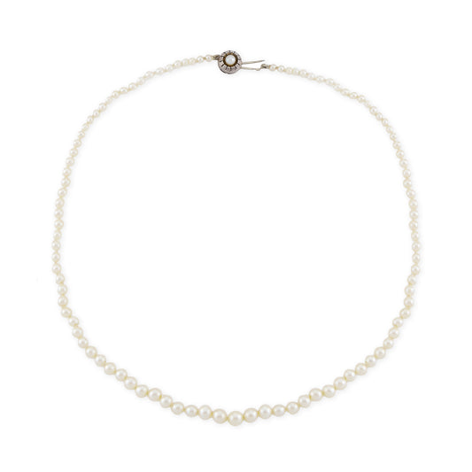 Graduated string of lustrous vintage cultured seawater pearls with sterling silver clasp set with a single pearl.